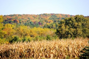 Kettle Moraine Forest, Wisconsin